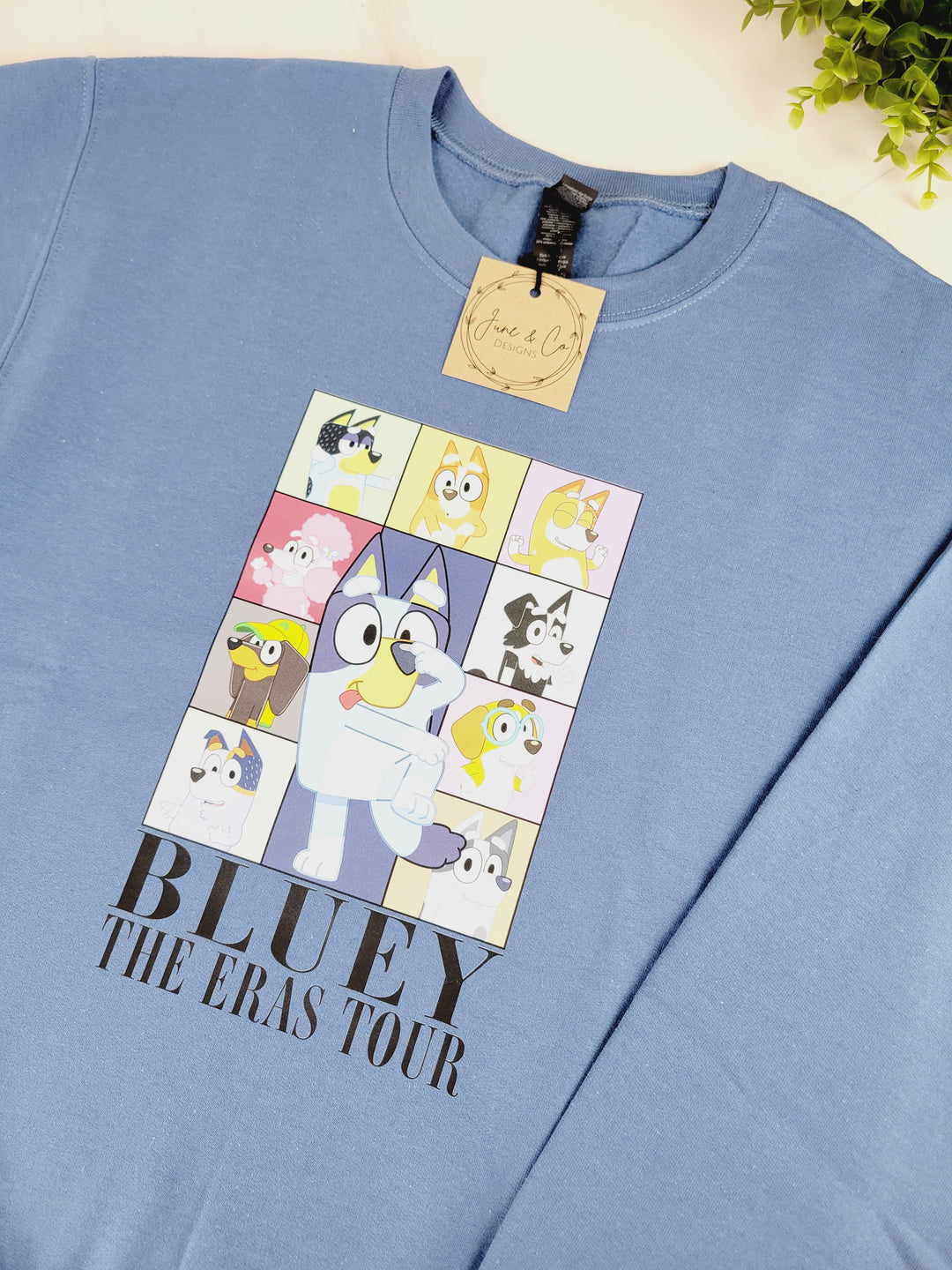 June & Co Designs, Bluey Eras Adult Crewneck Sweater