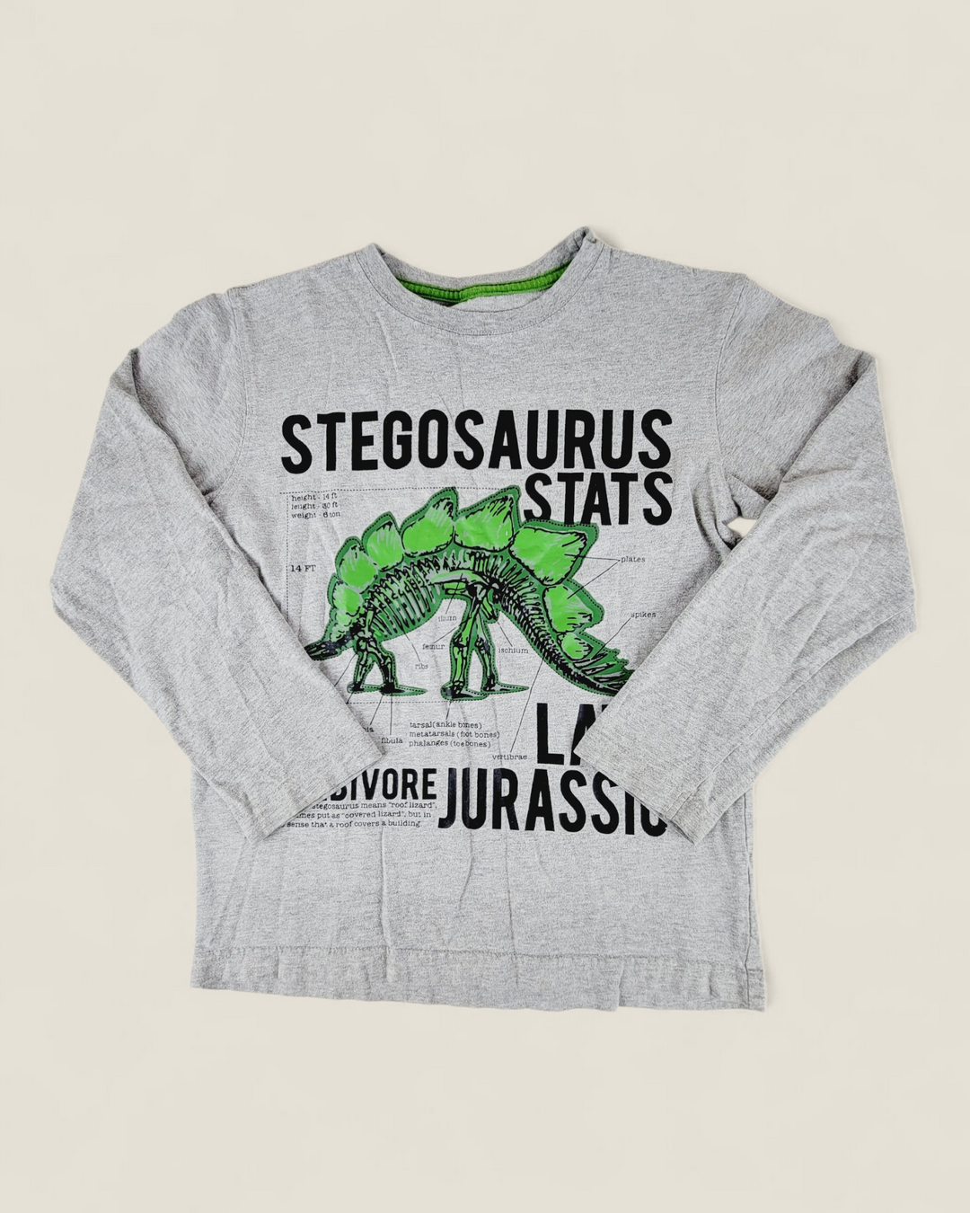WOODLAND RUGGED WEAR STEGOSAURUS STATS TOP BOYS 10Y PRE-LOVED