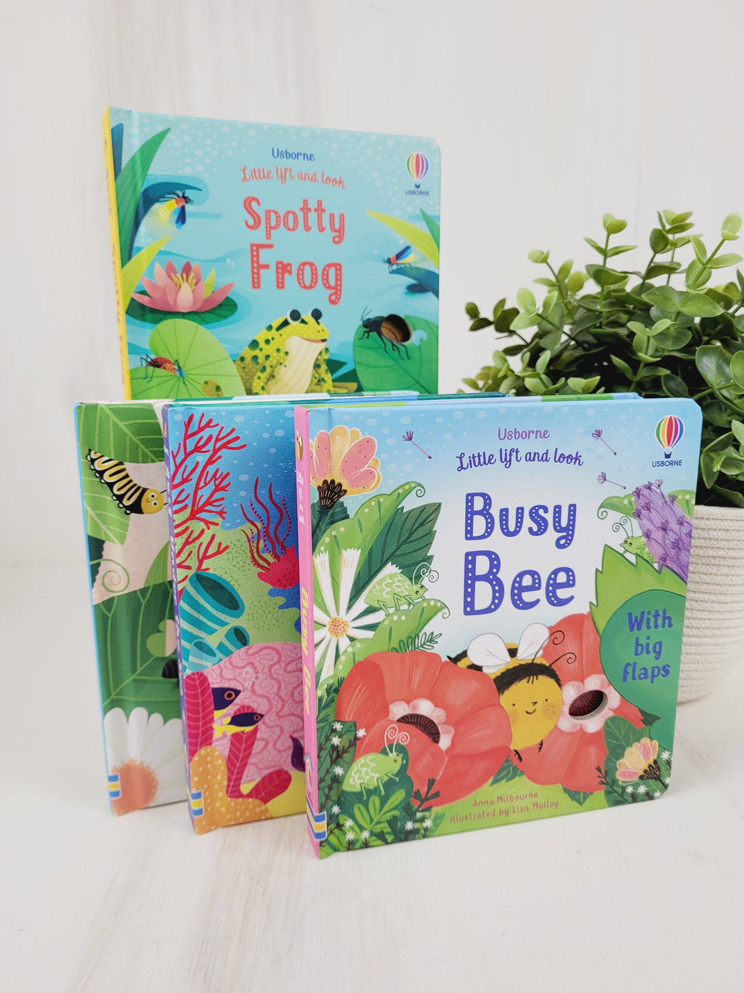 Books with Bree, Usborne Little Lift And Look Books