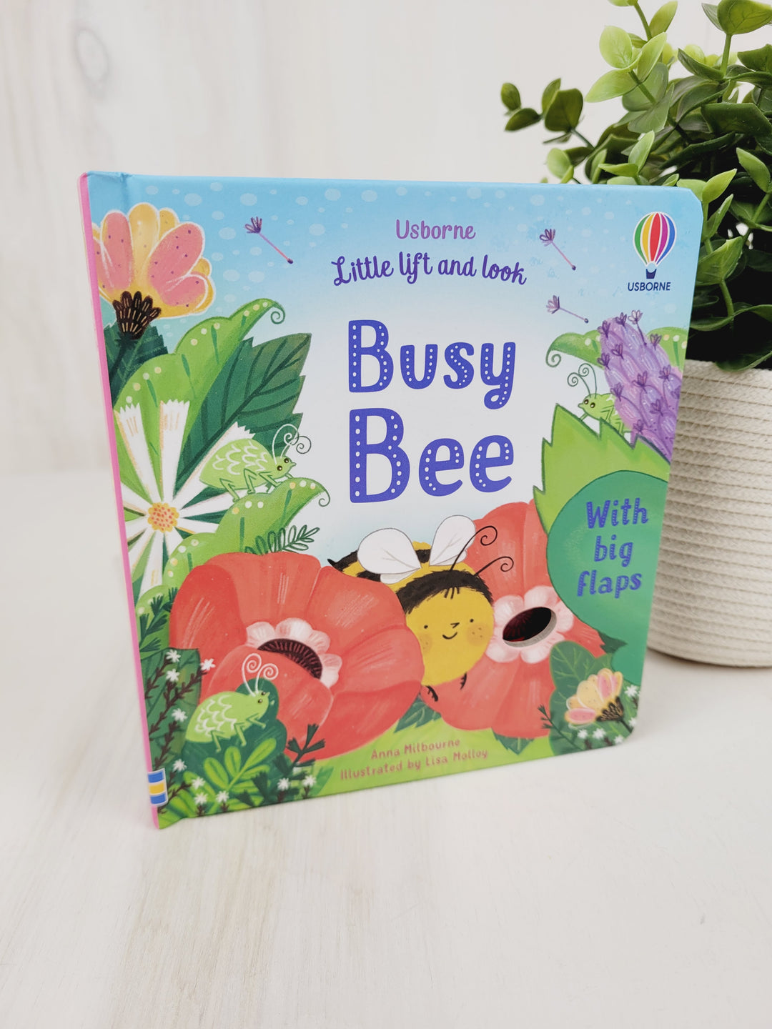 Books with Bree, Usborne Little Lift And Look Books