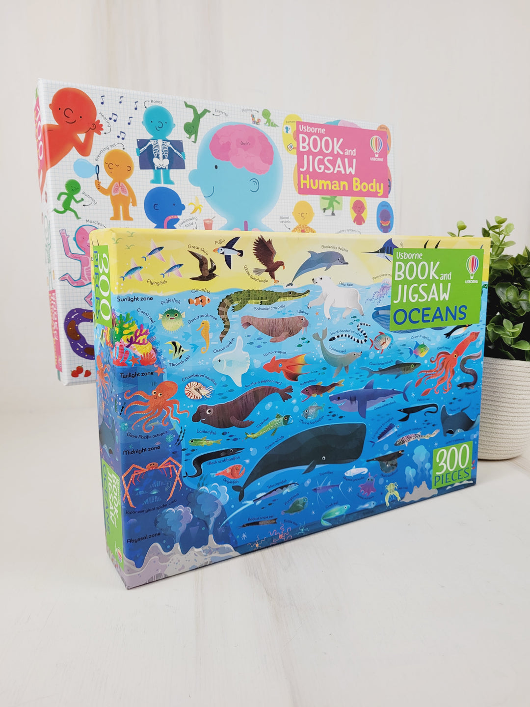 Books with Bree, Usborne Book And Jigsaw Sets
