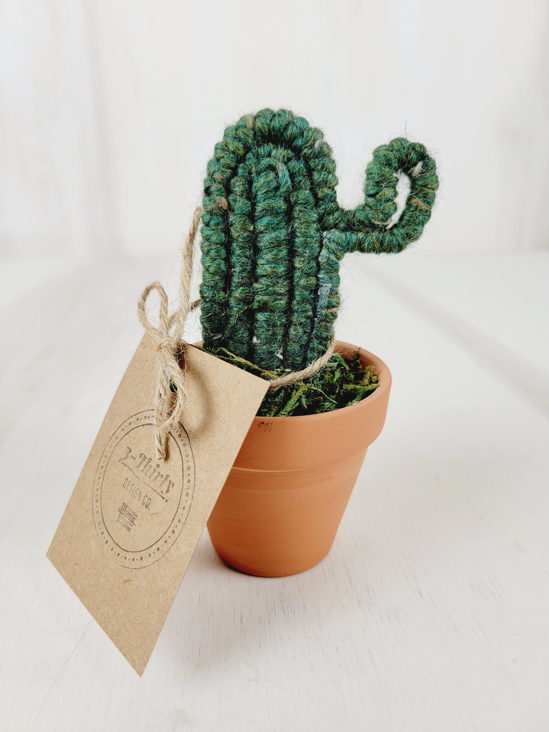 3-Thirty Design, Fibre Cacti in Clay Pots