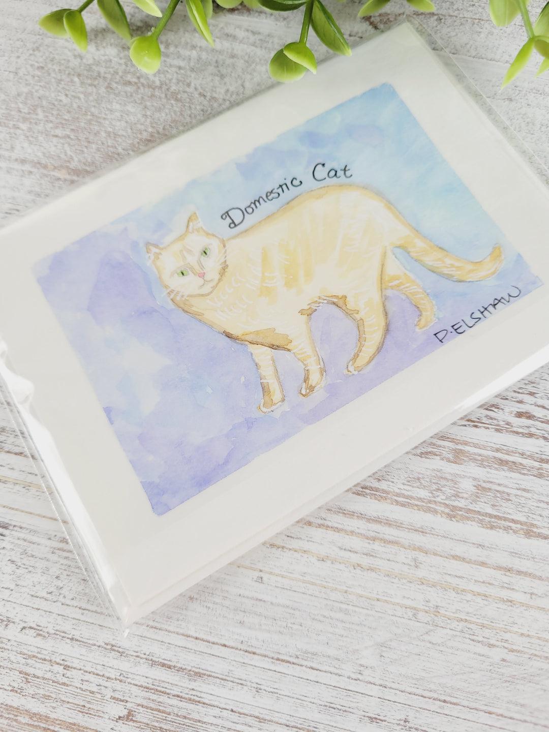 Original Art by Paige Elshaw, Watercolour Greeting Cards (Sets of 2)