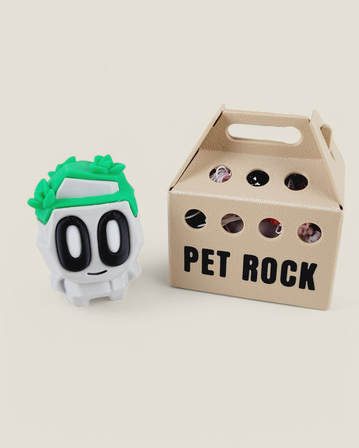 Marlin Fine Craft 3D, Mystery Collectible Pet Rocks