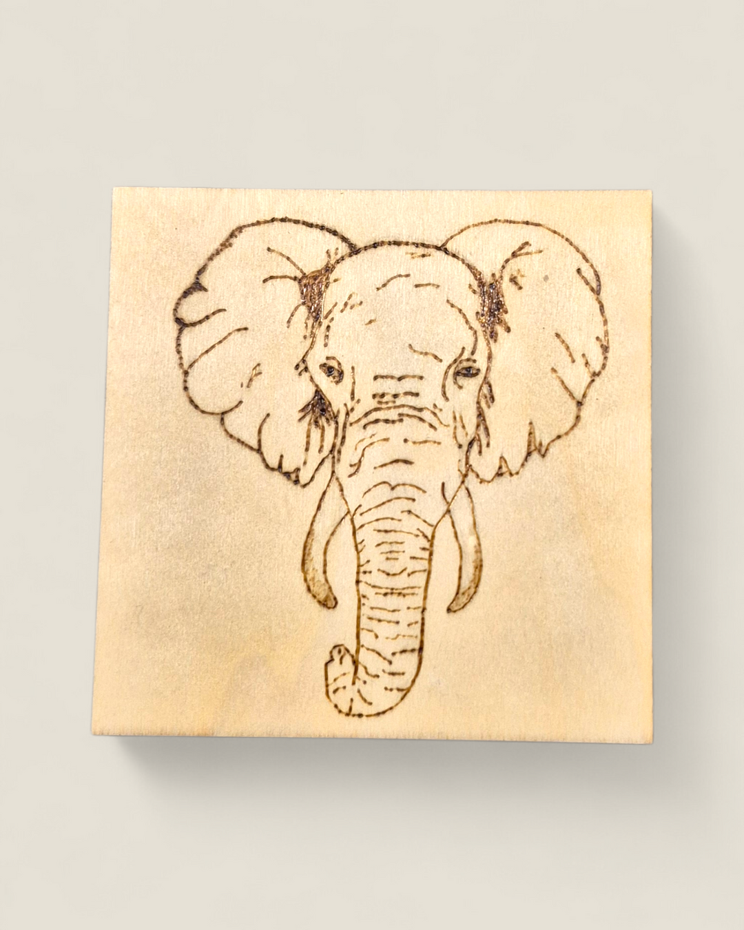 Marked In Wood, Wood Burnt Cork Backed Coasters