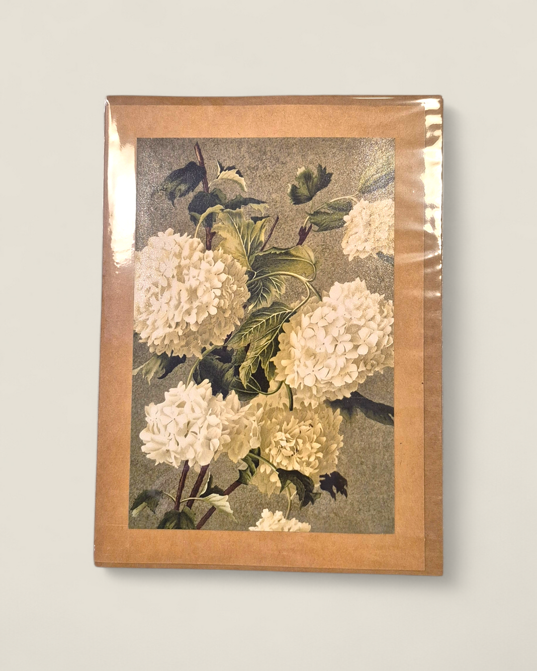 Rosewood Lane, Photography Greeting Cards