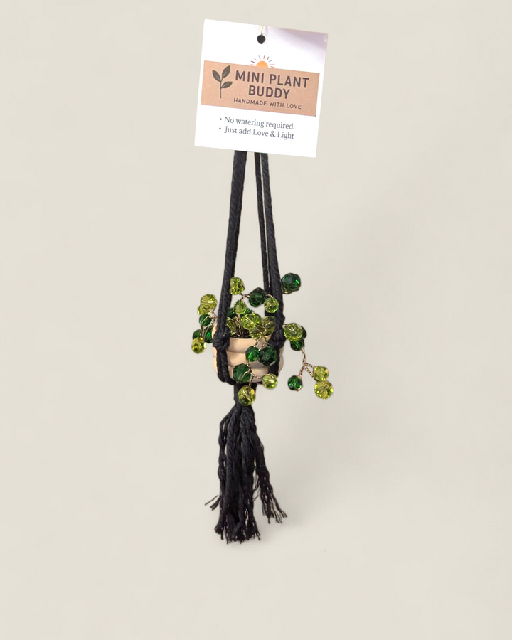 Kristi Scott Art, Jeweled Suncatcher Plants