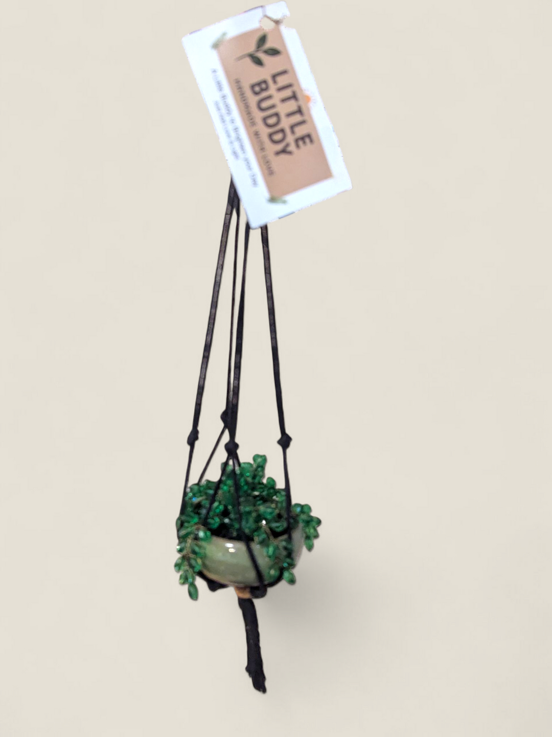 Kristi Scott Art, Jeweled Suncatcher Plants