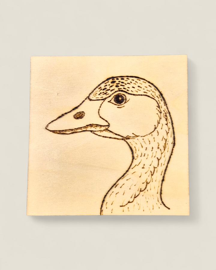 Marked In Wood, Wood Burnt Cork Backed Coasters