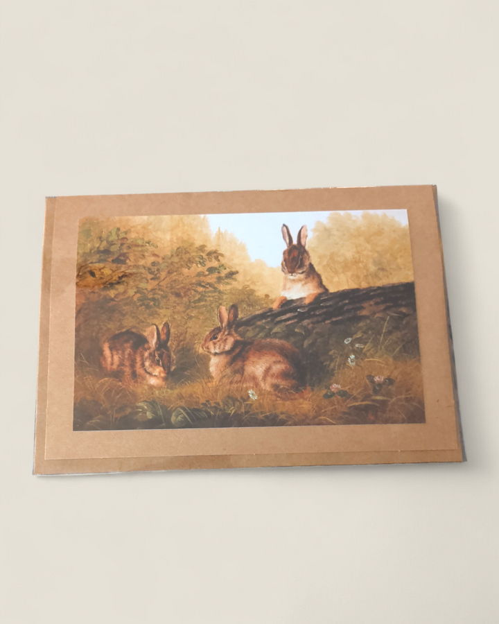 Rosewood Lane, Photography Greeting Cards