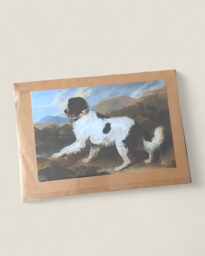 Rosewood Lane, Photography Greeting Cards