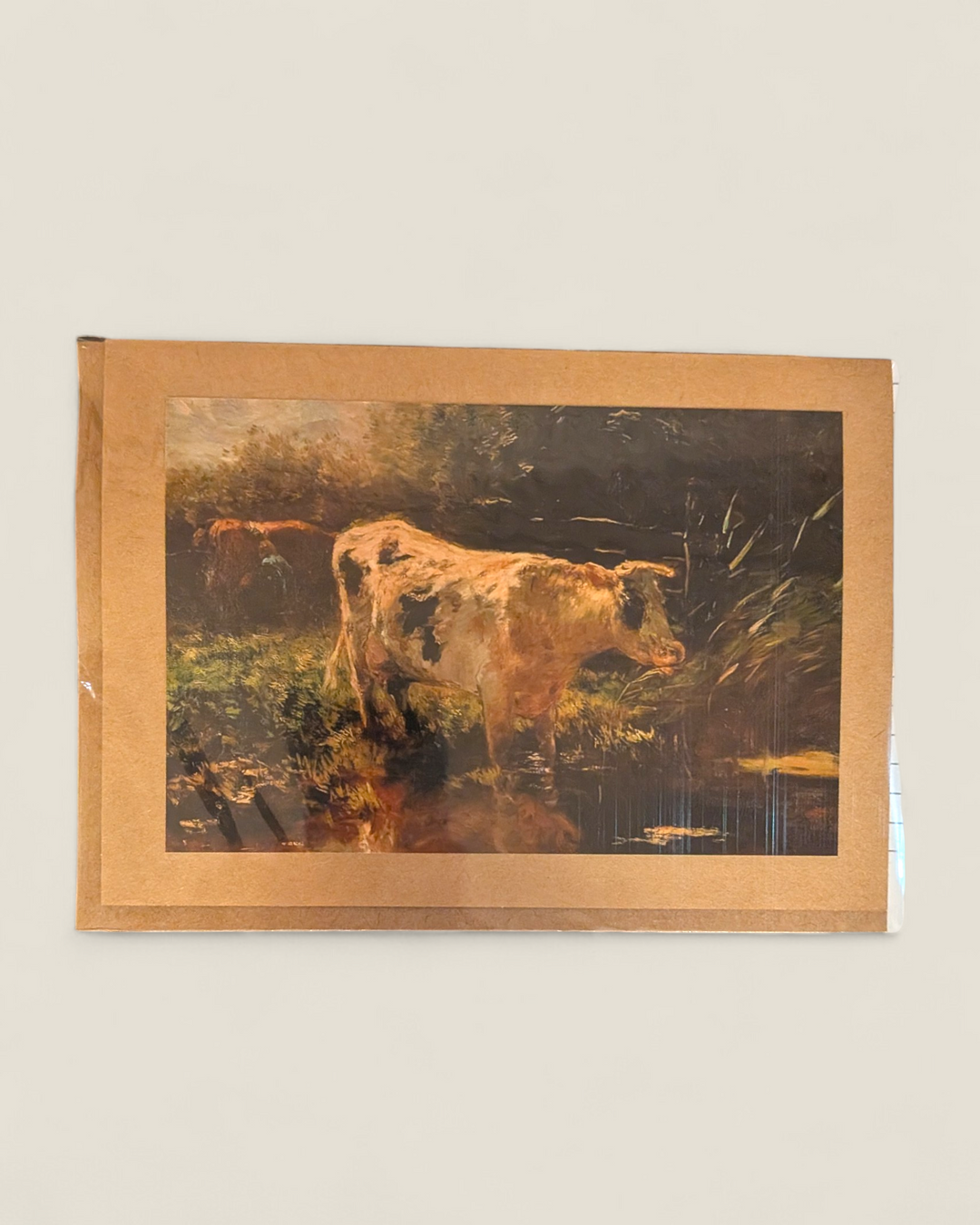 Rosewood Lane, Photography Greeting Cards