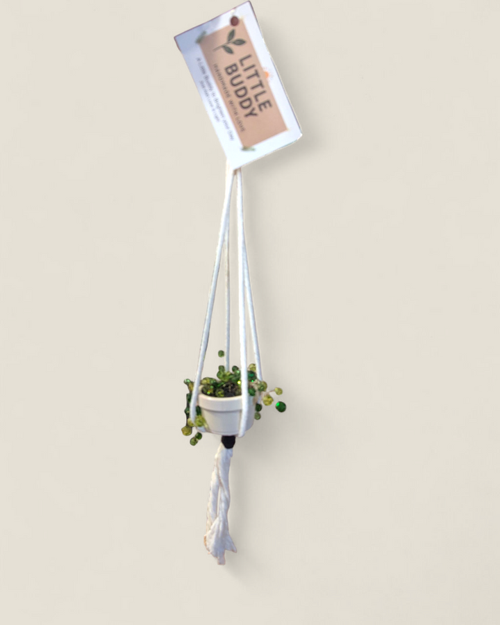 Kristi Scott Art, Jeweled Suncatcher Plants