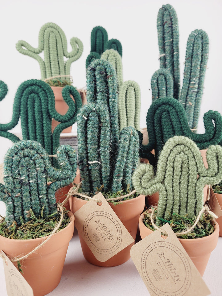 3-Thirty Design, Fibre Cacti in Clay Pots